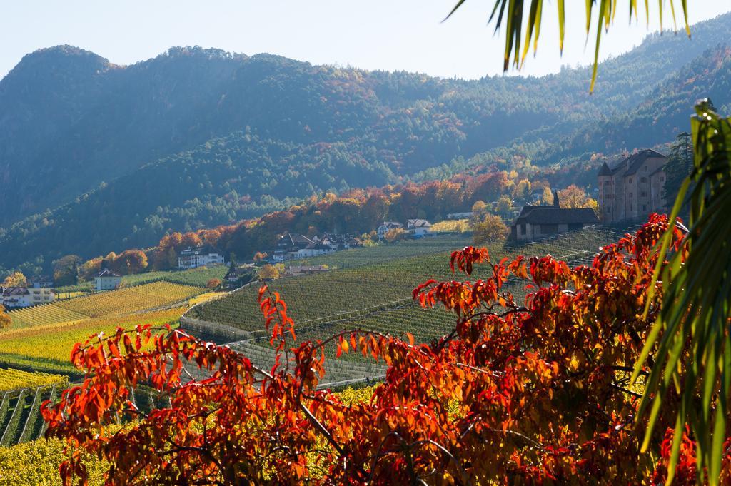 Weingut Wolkanhof Appiano Sulla Strada Del Vino Exterior foto