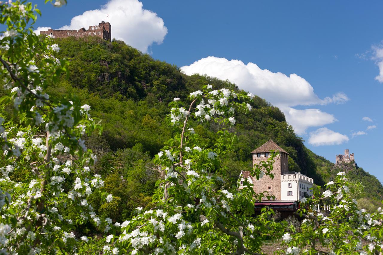 Weingut Wolkanhof Appiano Sulla Strada Del Vino Exterior foto